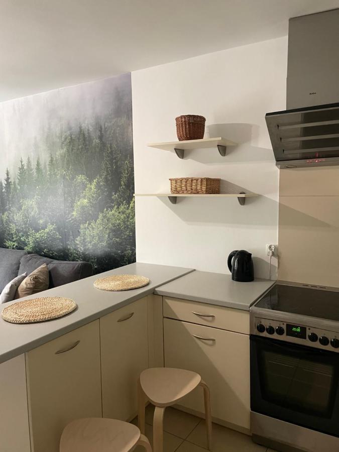 Kasprusie 10 By Homeprime Zakopane Ngoại thất bức ảnh
